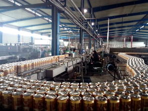 湛河区食药监局开展四铃啤酒食品安全专项检查指导