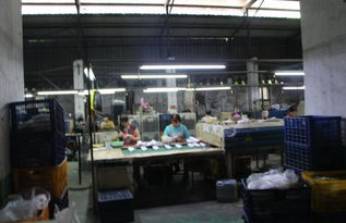 国网莆田供电公司线路缆化改造助力世界佛教论坛举办的法律保障