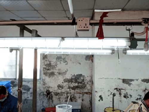 凤岗企业因违法行为被罚45000元，监管部门正严查企业这些行为